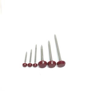 Quality Corrosion Resistant SS304L Plastic Cap Roofing Nails wholesale