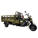 Affordable 250cc Motor Tricycle for Family in Egypt Agriculture Market Open Body