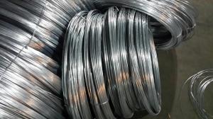 Quality low price GI wire, electro galvanized iron wire wholesale