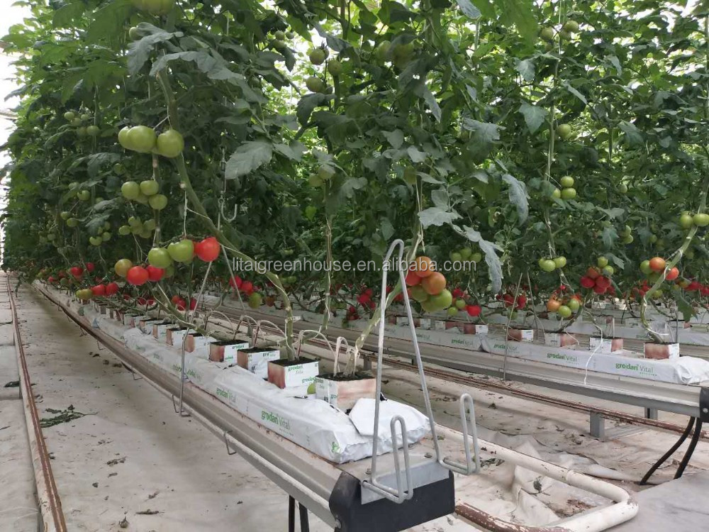 PE Material Hydroponic Vegetable Vertical Farming Groove System for Easy and Planting