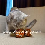 pet toys wholesale dog tennis ball