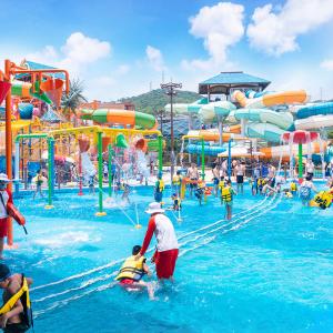 Quality Mega Tropical Water Park Slide 400sqm Water Park Bowl Slide wholesale
