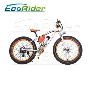 Quality Electrostatic Painting Process folding Electric Bicycle Aluminium Alloy 36V 250W wholesale