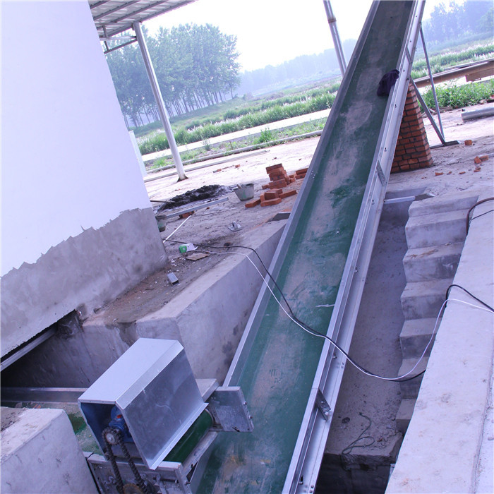 Automatic Control Poultry House Cleanout Equipment , Powerful Poultry Farm Cage