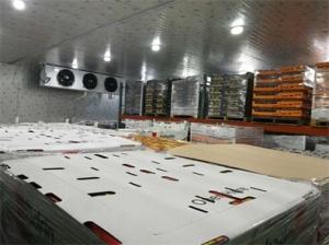 Quality 6500 Tons Freezer Cold Room Food Refrigeration R404a Water Cooling wholesale
