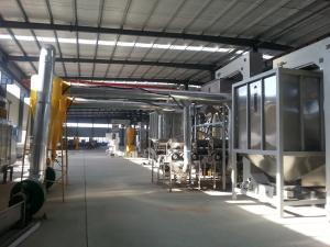 Quality Automatic Multifunction Blanched Peanut Production Line CE ISO9001 Certification wholesale