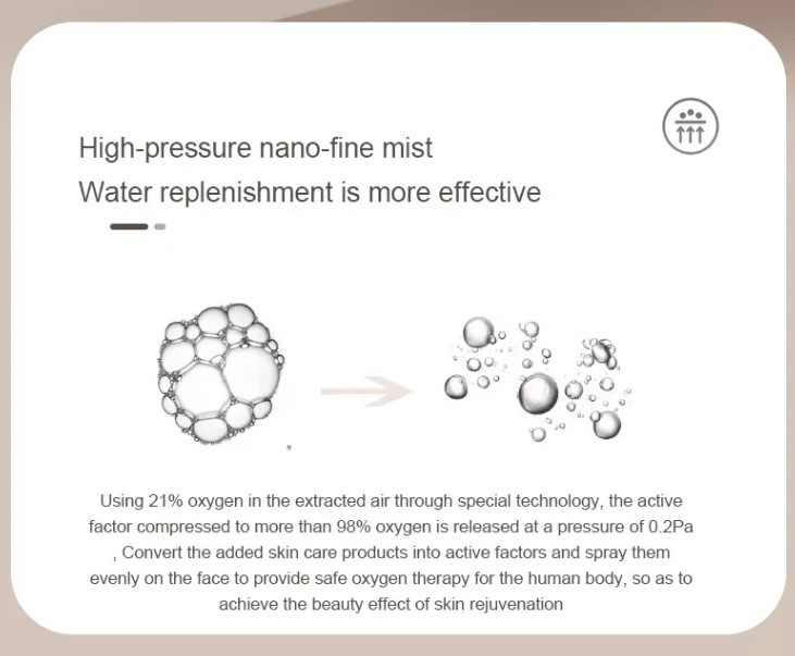 Handheld Oxygen Injector Oxygen Facial Machine Promotes Metabolism