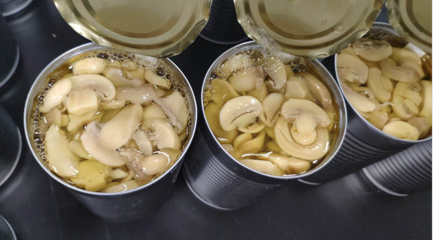 400g Pure Natural Flavor Light Yellow Canned Champignon Mushroom