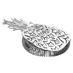 Brushed Stainless Steel Barware Hawthorne Cocktail Strainer with Pineapple