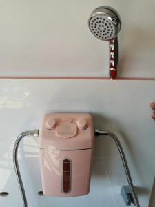 Quality Health Care Pain Relieving Hydromassage Spa Shower Filter wholesale