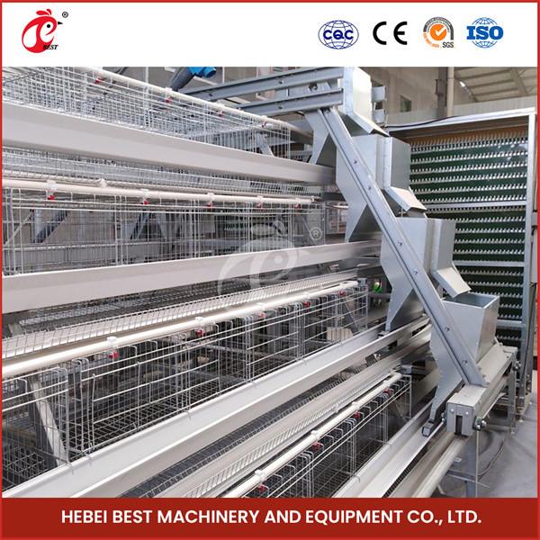 Field Installation Poultry Layer Cage 90/96/120/128/160/200 Capacity Nipple