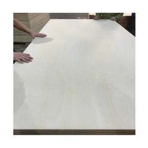 Quality 1220*2440mm Birch Faced Plywood wholesale