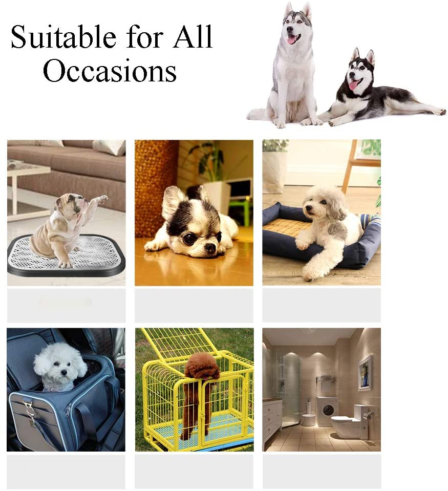 Cat Puppy Training Pads OEM Doggy Pee Pads Soft Non Woven Topsheet