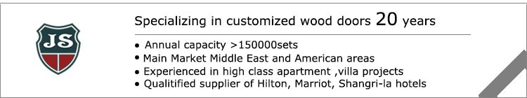 BS standard 1 hour hotel fire rated wood door flush door
