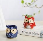Succulent Plant Mini Ceramic Owl Animal flowerPot