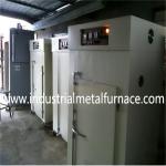 Industrial Hot Air Electrical Drying Heating Curing Oven For Electrical