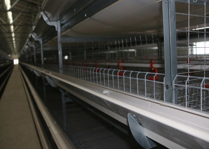 Full Automatic Poultry Farming Equipment 1200×625×480 Mm Low Pollution