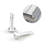 Metric Ruspert Coating Bimetal Self Drilling Screw 4.2x19mm for Steel Frame and