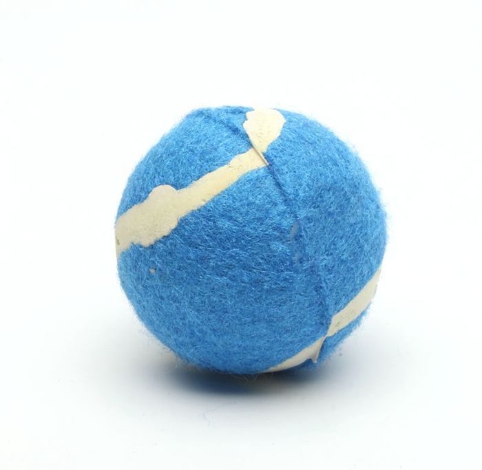 cheap Tennis ball pack custom printed tennis balls for dog fetch