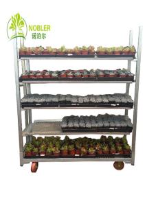 Quality Dutch Plant And Flower Display Cart Greenhouse Nursery Transport Trolleys wholesale