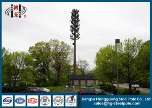 Quality 30m Steel Disguised Pine Tree Telecommunication Towers Polygonal Galvanized wholesale