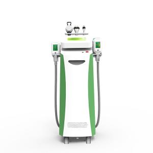 Quality 2019 China manufacturer cryolipolysis machine for sale/criolipolisis machine cryolipolysis wholesale