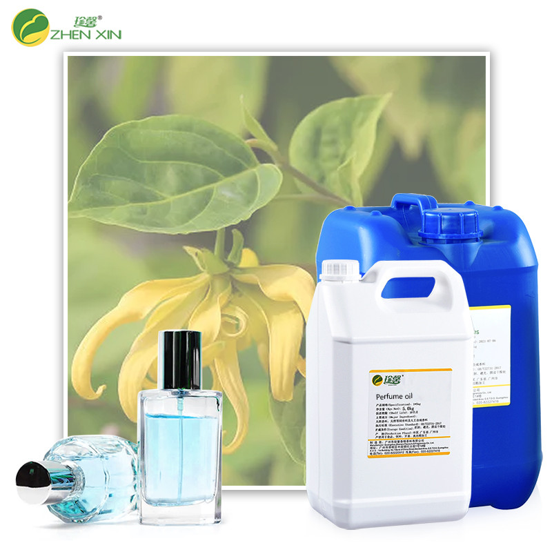 France Perfume Oil Branded Custom Perfume Bulk Fragrance Distributor