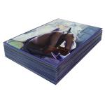 Custom Anime Card Sleeves Yugioh Japan Size 62x89mm Solid Art Printed Game Card