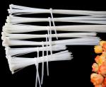 Nylon Cable Tie 10 Series Plastic cable tie Cable Tie Nylon cable accessories
