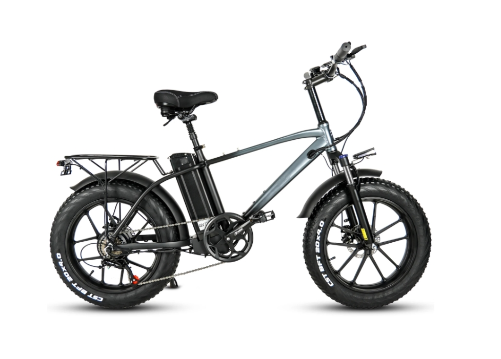 18Ah Lithium Battery Electric Hybrid Bike 750W 20 Inch Fat Tire Mountain Ebike For Adult
