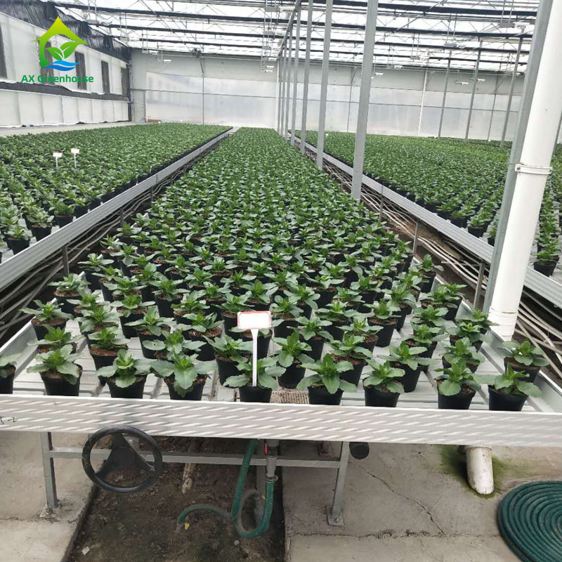 Hydroponic Flood Grow Table Ebb And Flow Rolling Benches High Ground Utilization