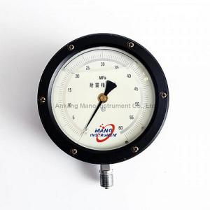 Quality PG-083 Precision pressure gauges oil filled type wholesale