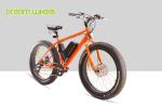 28km/H Fat Tire Cruiser Ebike Front Motor Pedals Assisted Disc Brake