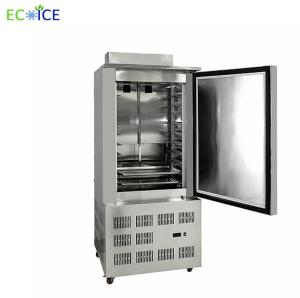 Quality Compact 300L Air Blast Freezer Cold Plate Freezer Deep Freezer Commercial with Trolleys wholesale
