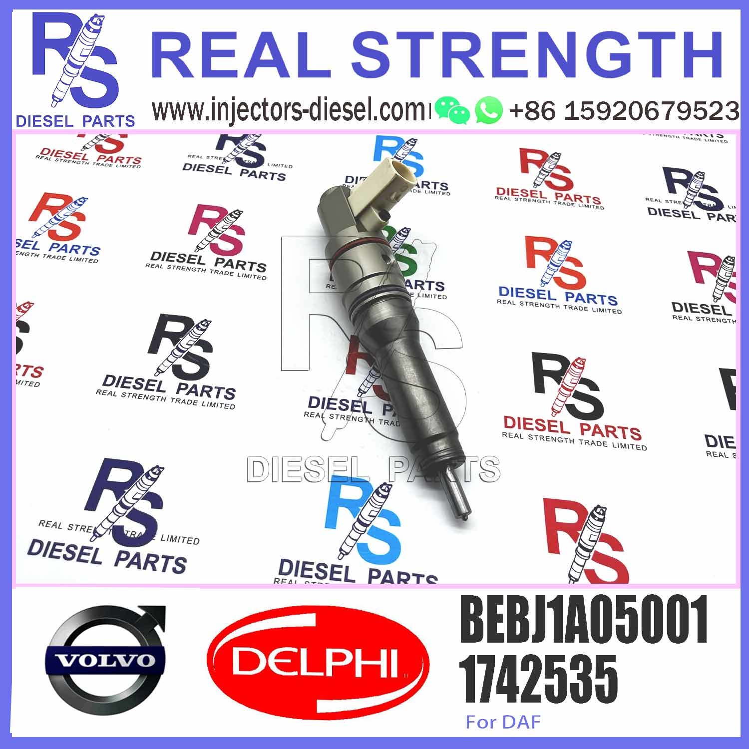 Fuel Injector Assembly BEBJ1A05002 BEBJ1A00202 BEBJ1A05001 1905001 1846419 1905002