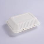 9 X 6In Sugarcane Bagasse Clamshell Biodegradable Disposable Lunch Box