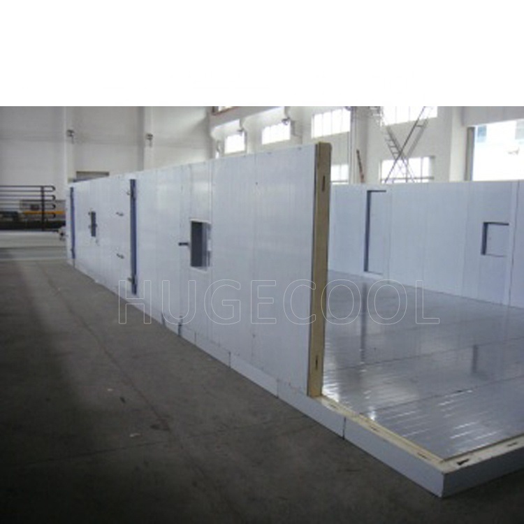 Customized new cold storage for frozen meat and seafood