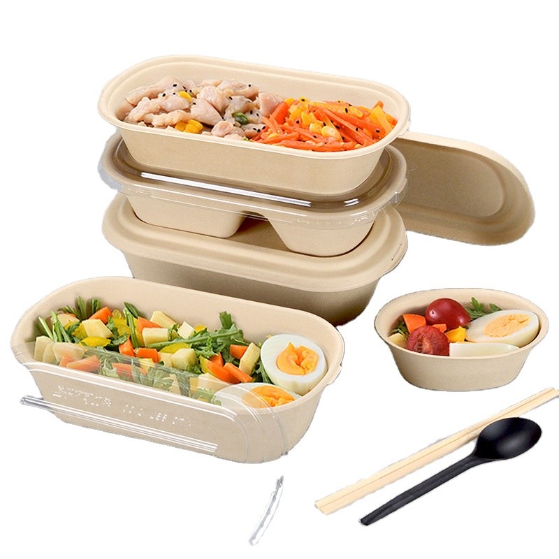 Biodegradable Sugarcane Bagasse Food Packaging Takeaway Box Food Container