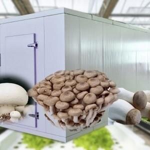 Quality 18000.000kg Container House for Growing Green Leafy Veggies Return refunds Guaranteed wholesale