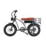 Electric Fat Bike 500W 750W Super Nice 73 Electric Bike with 48V 18AH Lithium