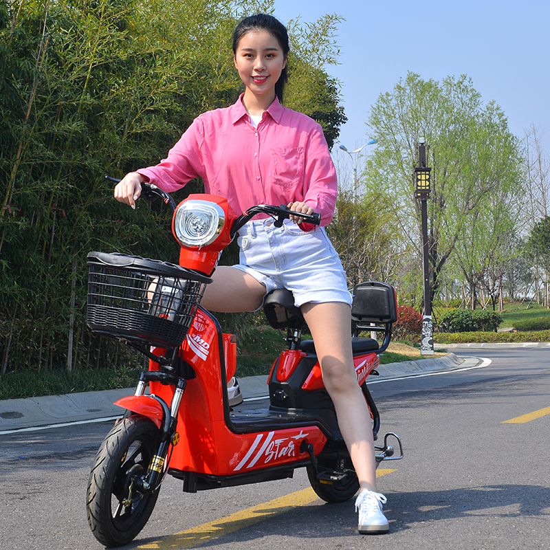 14 Inch Full Suspension Electric City Bike 350W 48V 12ah 2 Seat Electric Bicycle