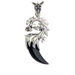 Sterling Silver Dragon Claw Amulet 925 Silver Chain Men's Necklace(N06030811)