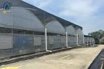 Organic Farming Multi Span Greenhouse Large Commercial Greenhouses