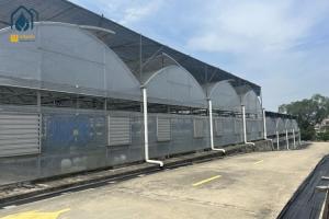 Quality Organic Farming Multi Span Greenhouse Large Commercial Greenhouses wholesale