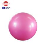 Fitness yoga ball of 65cm Anti Burst PVC Gym Ball