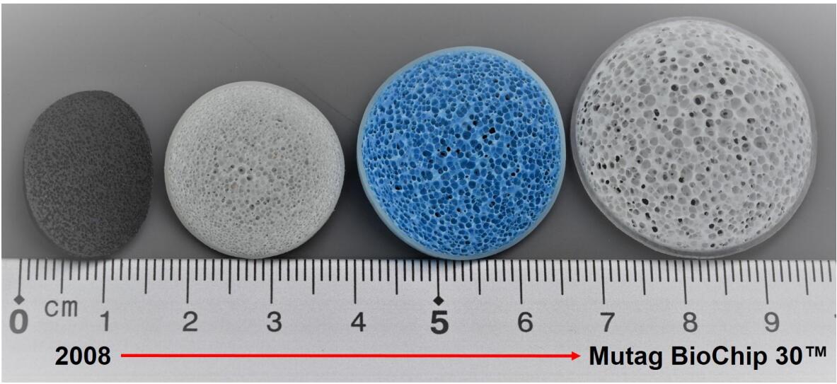 Dia 30mm Mutag Biochip For Improved Performance In Biofilm Reactors