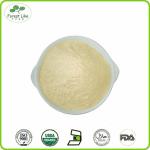 High quality pure natural pineapple extract powder