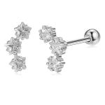 18K Gold Plated 925 Sterling Silver Star Cubic Zirconia Stud Earrings for Women