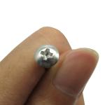 Stainless Steel 304 316 Truss Pan Phillips Umbrella Head Mushroom Head Self
