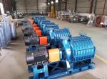 Cast Iron Rotary Valve Industrial Blower for Aquaculture High Pressure Aeration